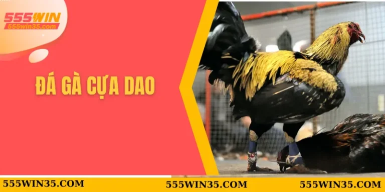 Đá Gà Cựa Dao 555WIN - Trận Đấu Kịch Tính Và Hấp Dẫn 5 đá gà cựa dao