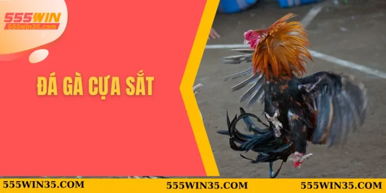 Đá Gà Cựa Sắt - Áp Dụng Thủ Thuật Chơi Ăn Thưởng Cao 2025 6 Đá gà cựa sắt