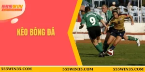 Kèo Bóng Đá 555WIN – Cơ Hội Sinh Lời Không Thể Bỏ Lỡ 2 Kèo bóng đá